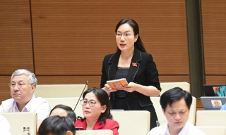 Đại biểu Đoàn Bắc Giang chất vấn Bộ trưởng Bộ Giáo dục và Đào tạo